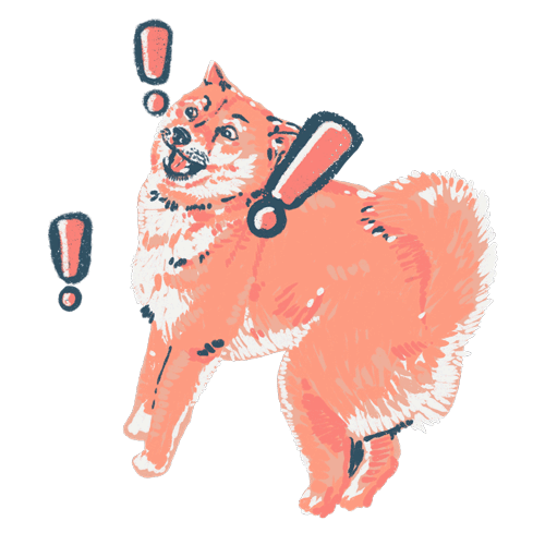 Shiba Inu OMG sticker